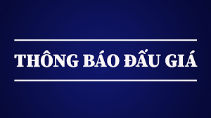 Quyền sử dụng đất 31 lô đất ở tại vùng Đồng Tùng, thôn Mộc Hải, xã Việt Xuyên, tỉnh Hà Tĩnh 